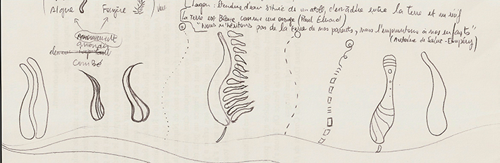 Cdv1